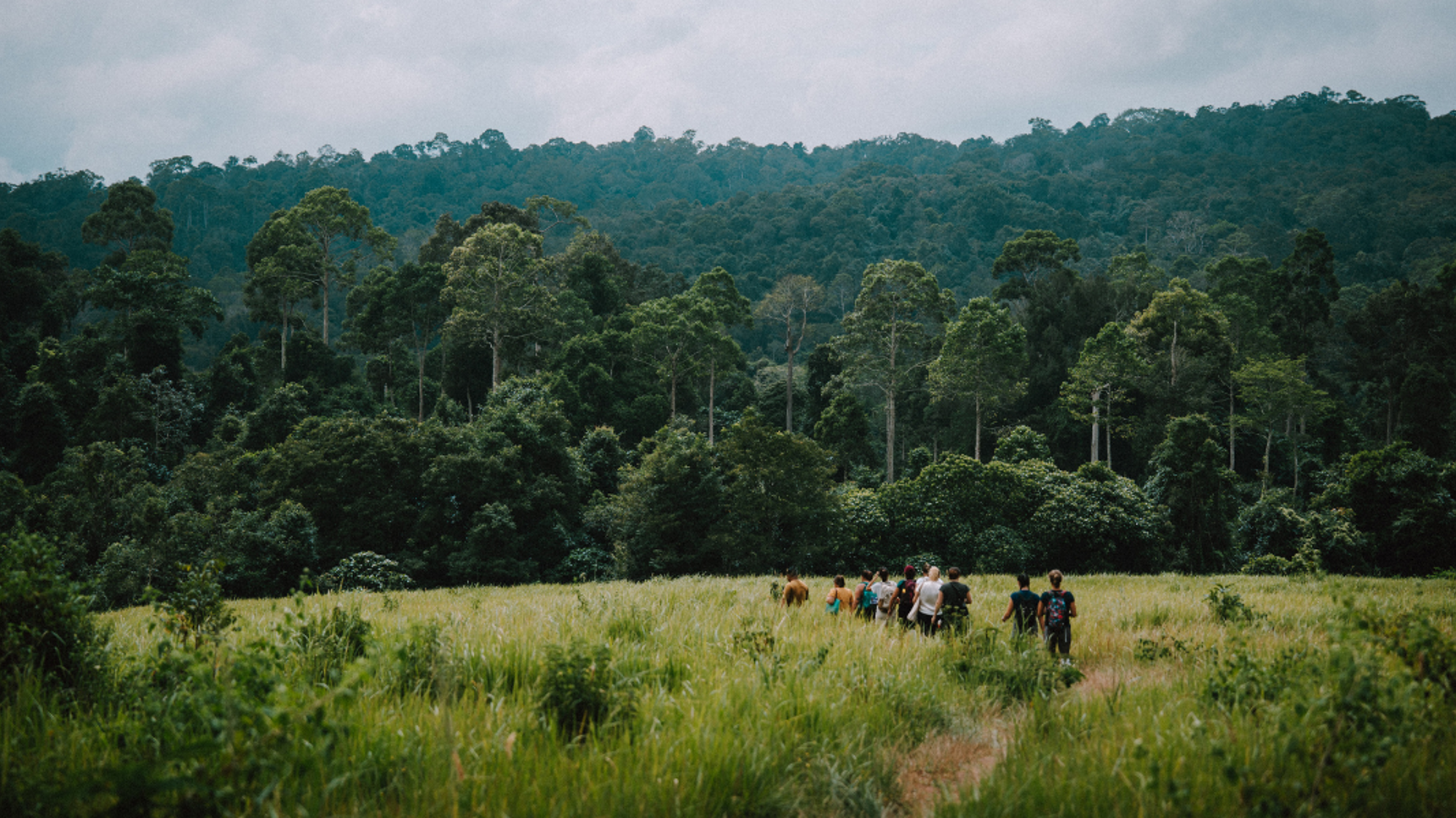 Trek dans la nature de Chiang Mai, Thaïlande ©Pauline Simon
