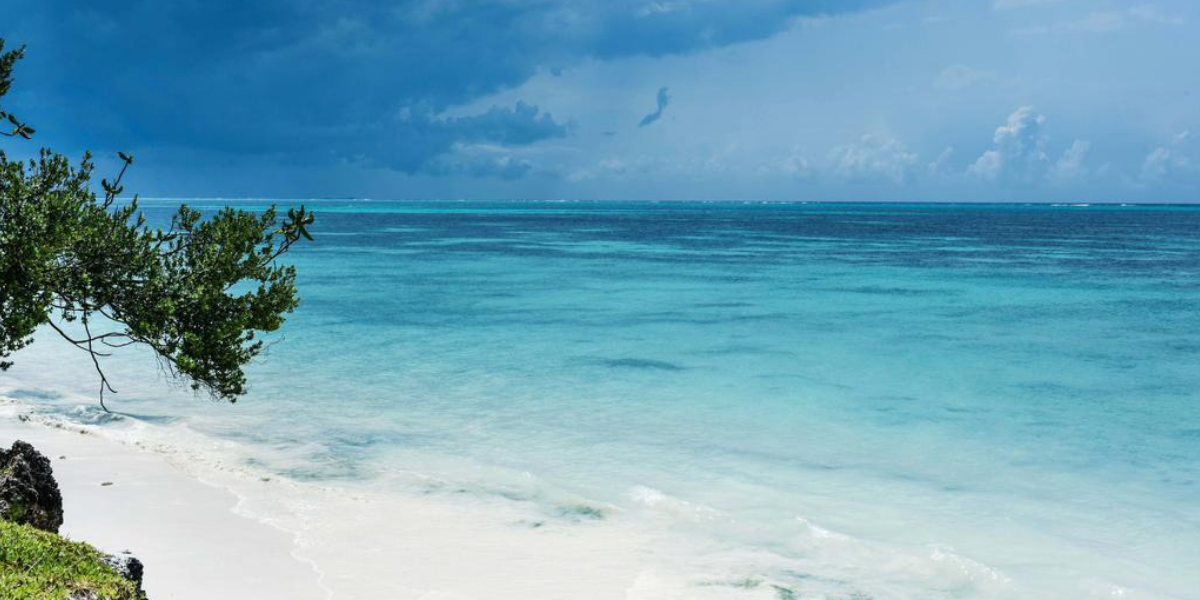 Direction Zanzibar pour quelques jours de repos dans un petit paradis 