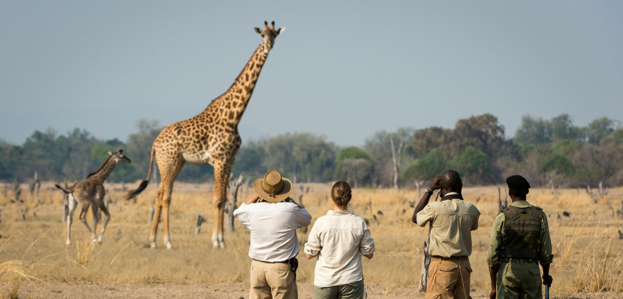 Profitez de la savane