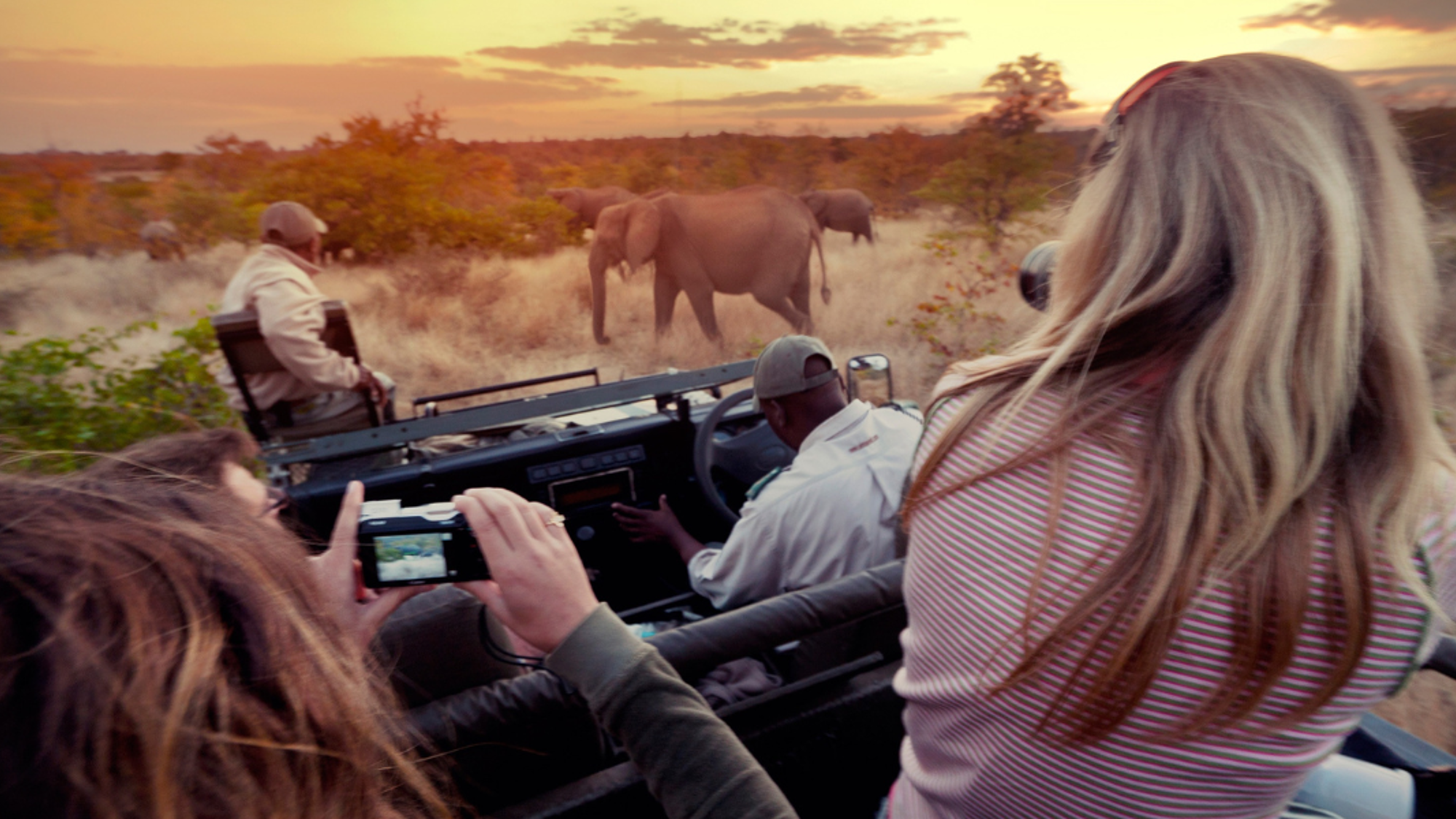 Vivez l'expérience unique d'un safari nocturne !