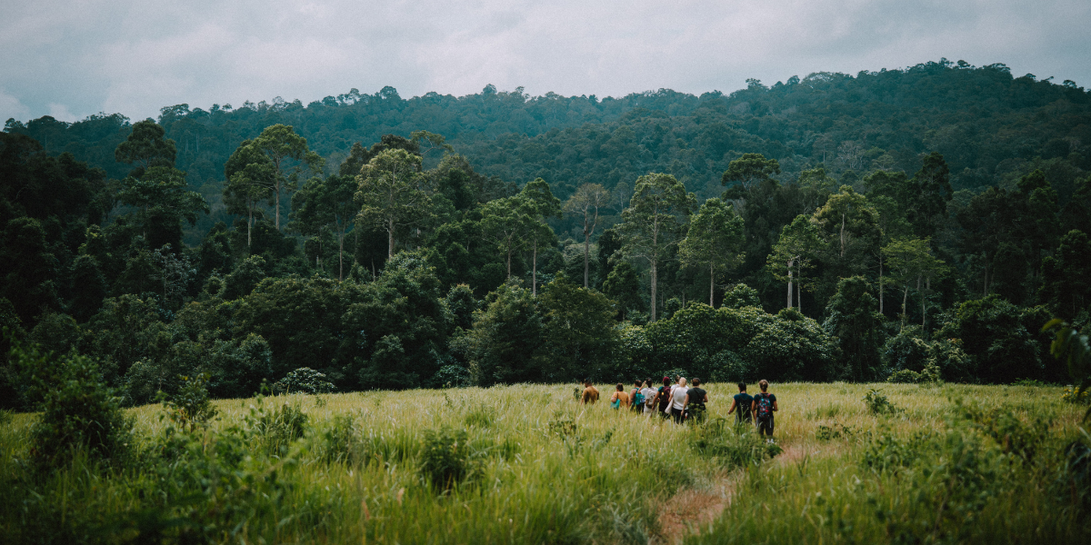 Randonnez au coeur de la jungle 
