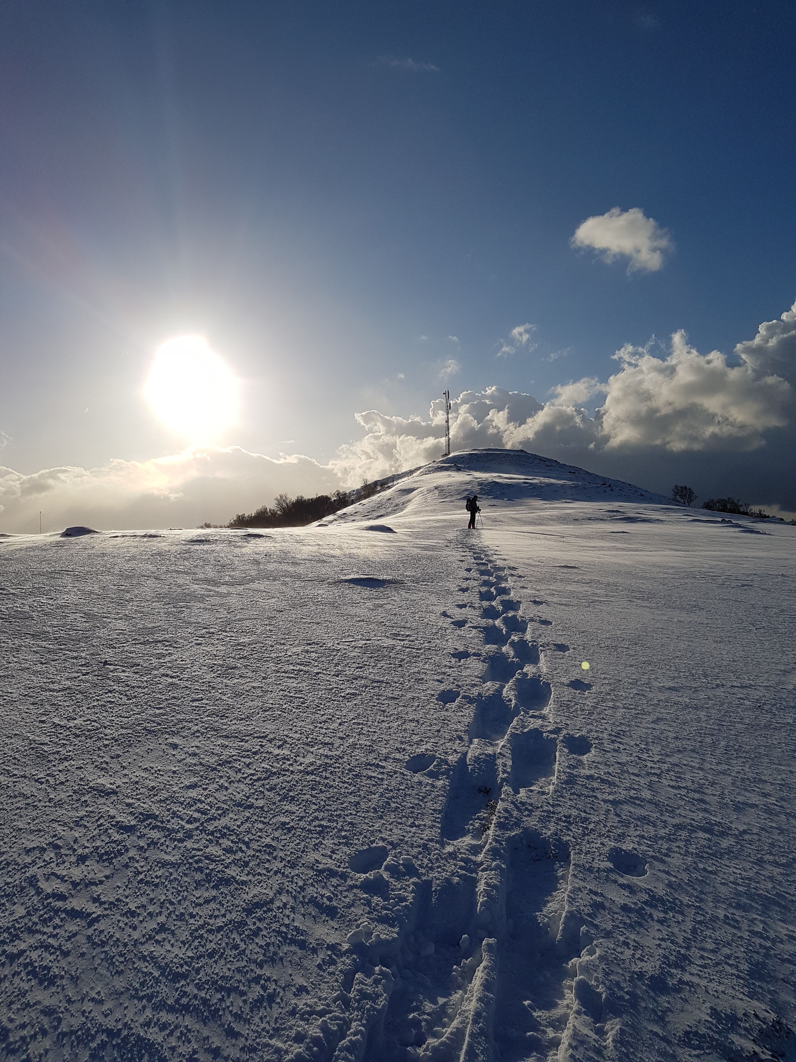 Découvrez le paradis blanc (@Ian Robins)