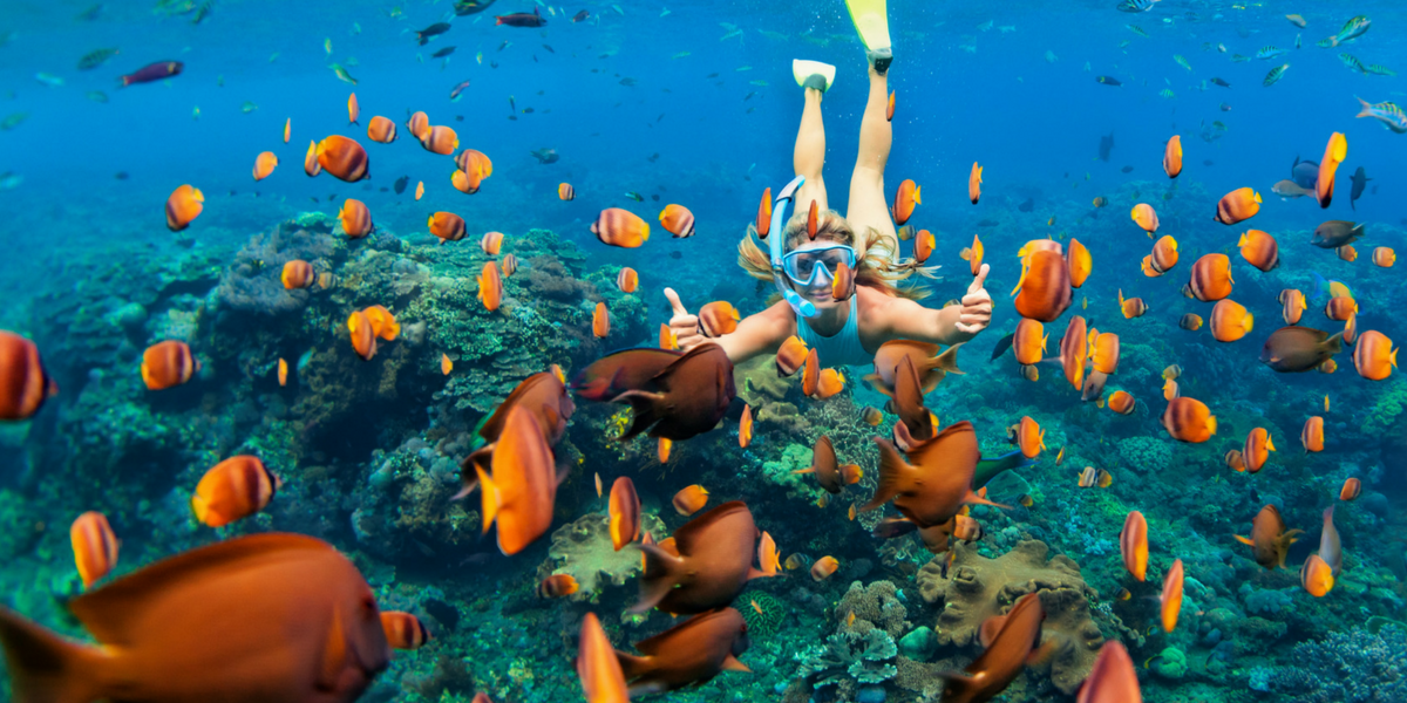 Essayez-vous au snorkelling !