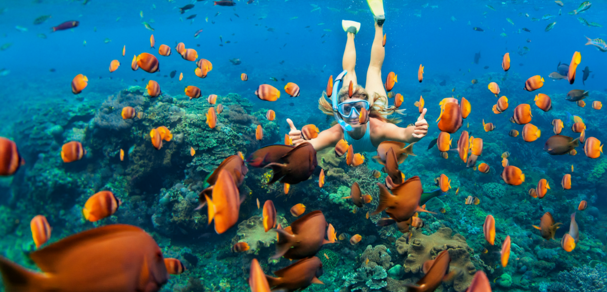 Essayez-vous au snorkelling !