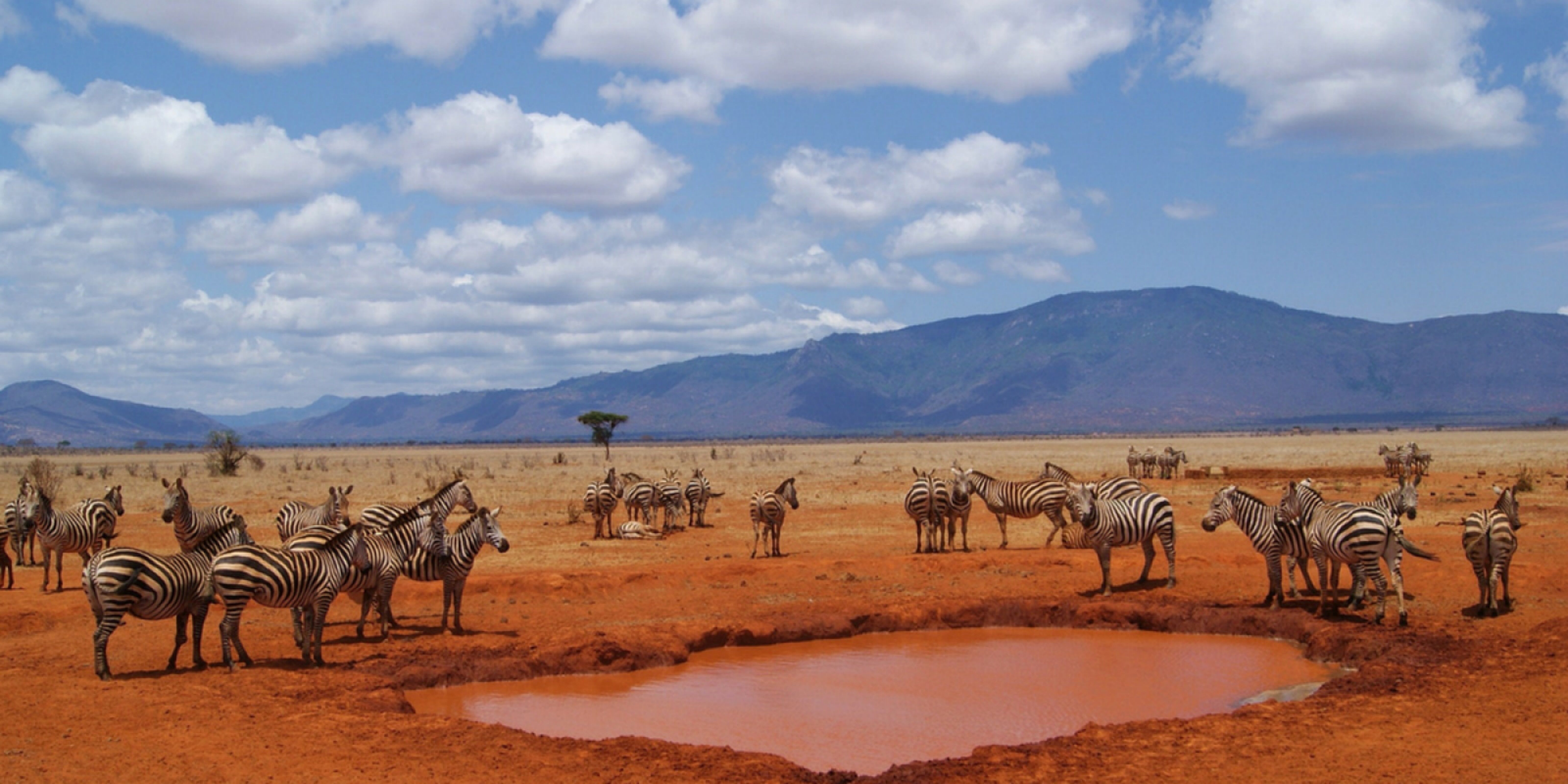 Pour un séjour entre savane