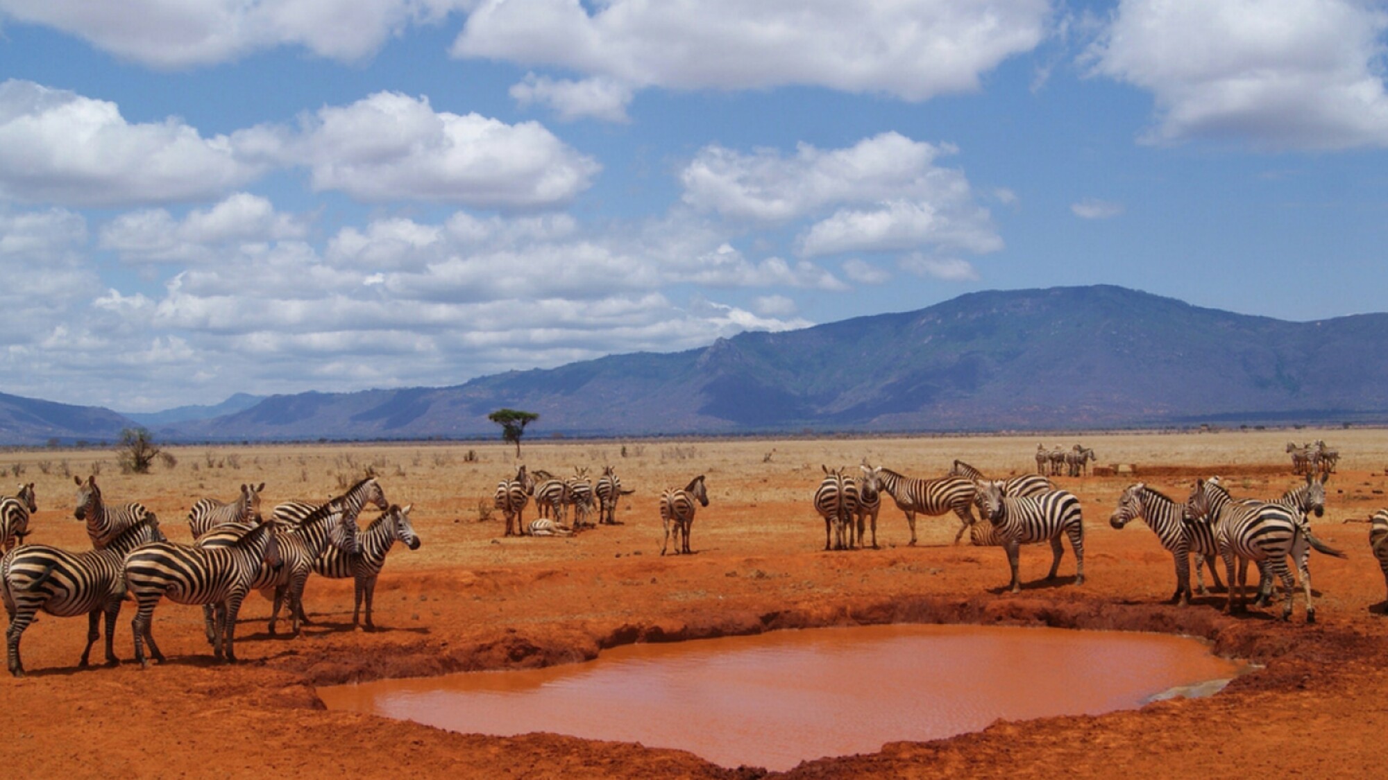 Pour un séjour entre savane