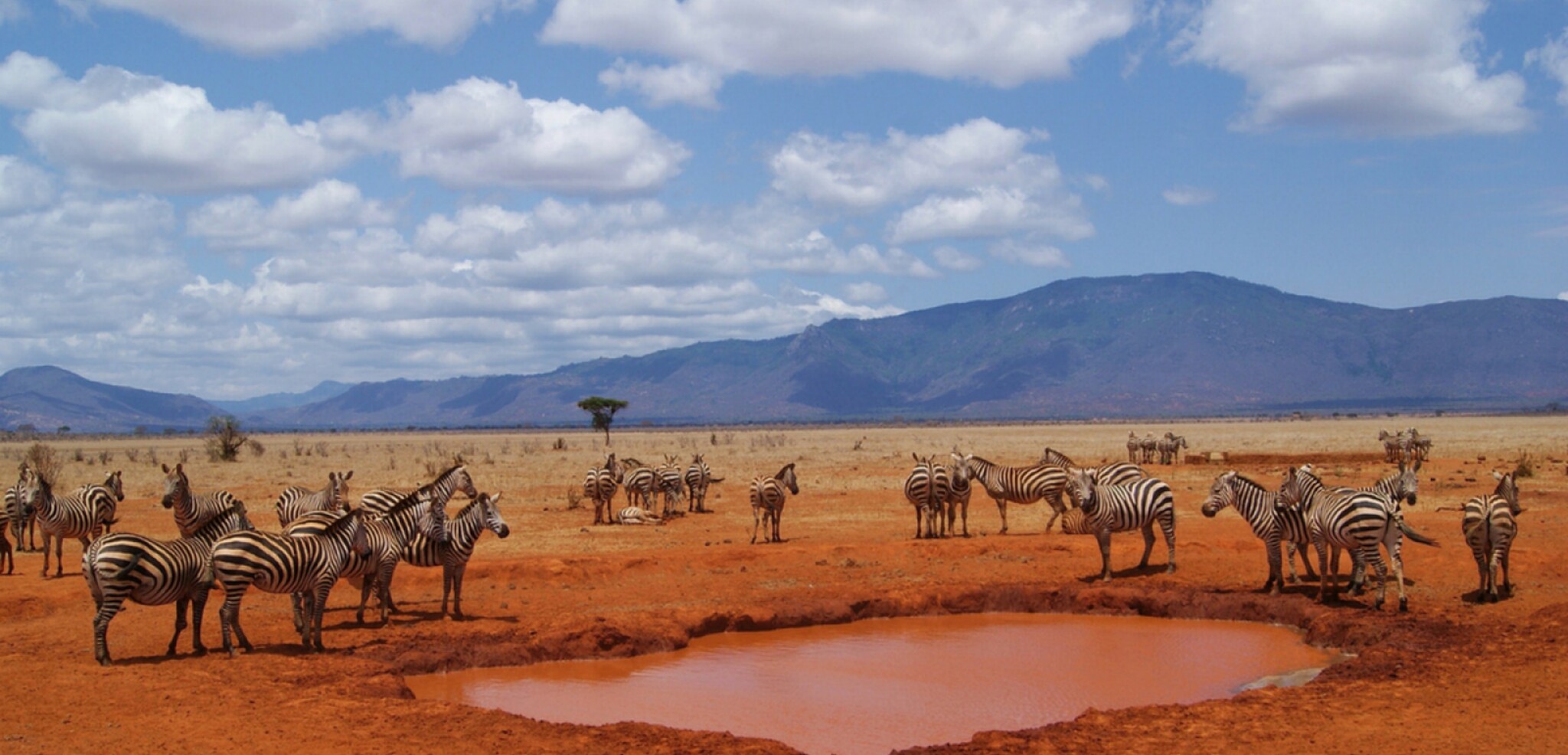 Pour un séjour entre savane