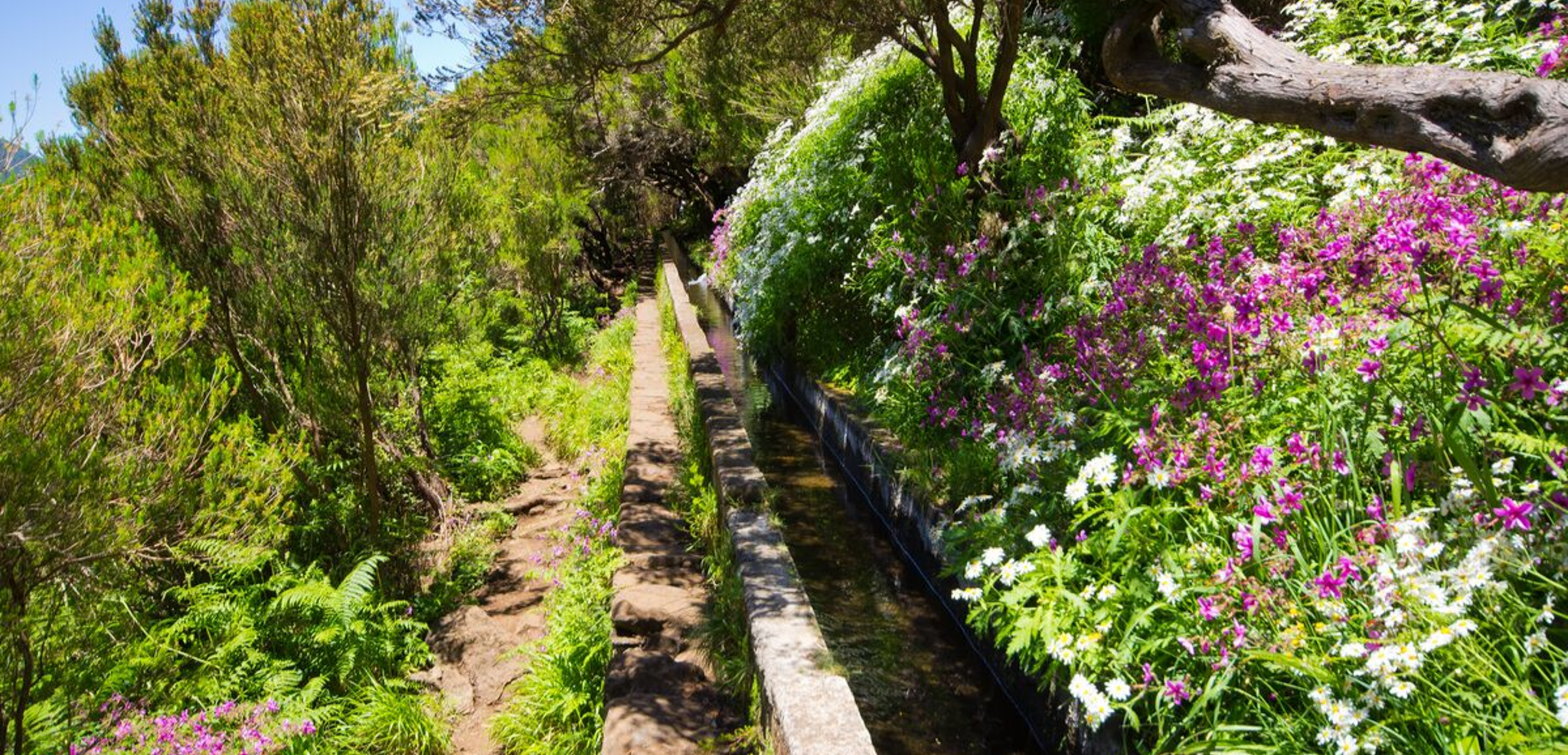 Surnommée l'Ile aux fleurs !