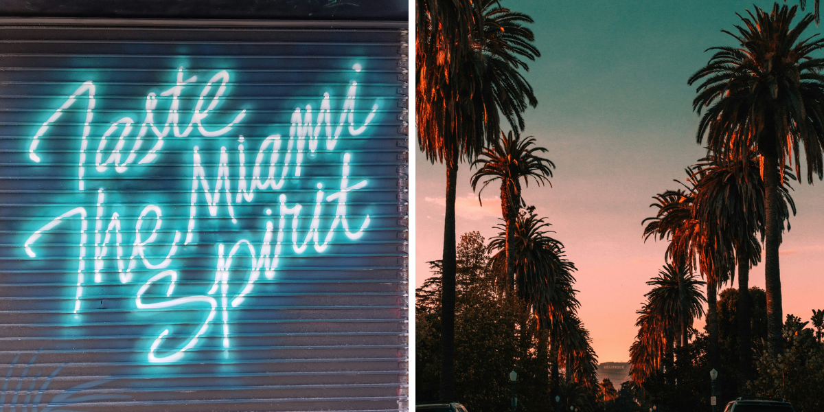 Vivez l'ambiance de la Floride