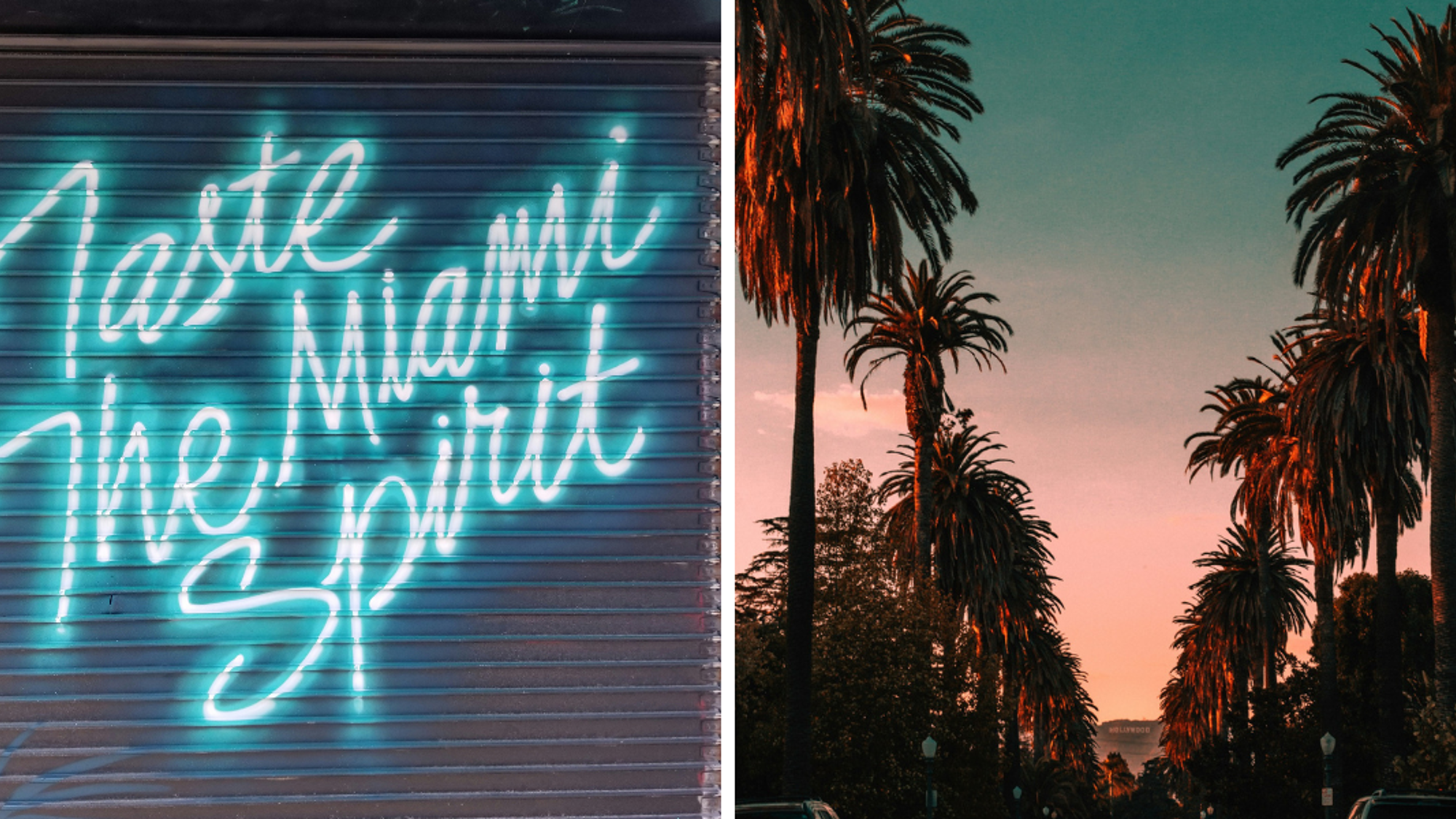 Vivez l'ambiance de la Floride