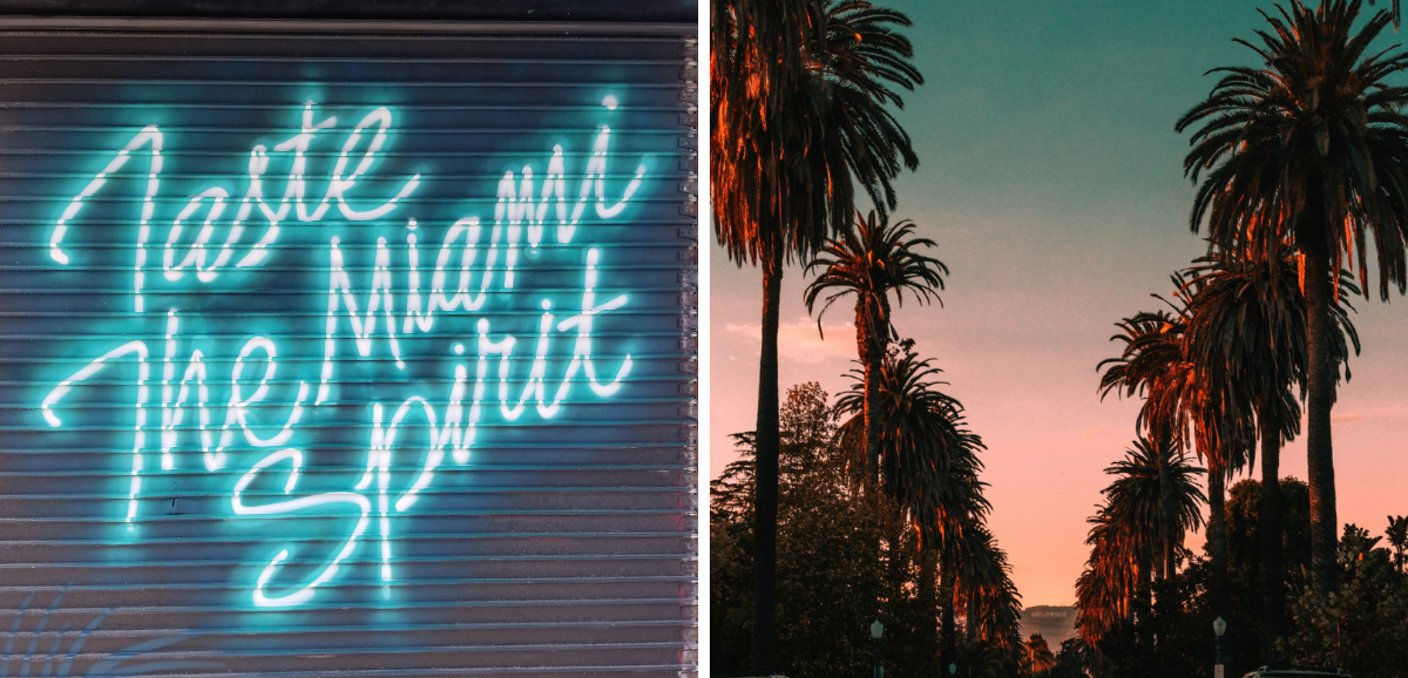 Vivez l'ambiance de la Floride