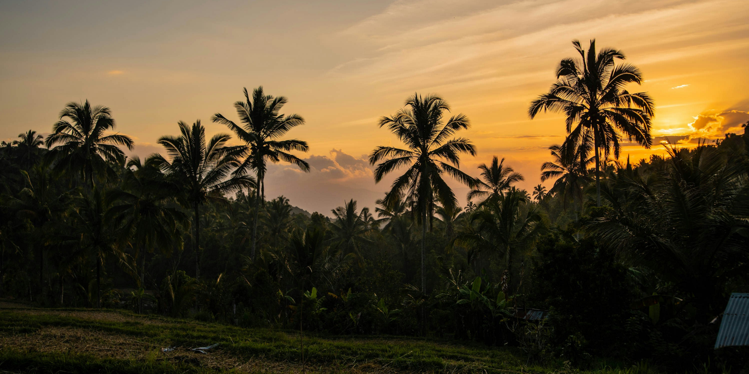 Munduk, Bali ©Une fille en vadrouille / Unsplash