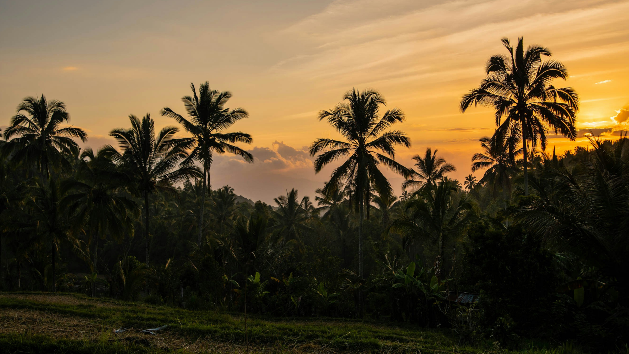 Munduk, Bali ©Une fille en vadrouille / Unsplash