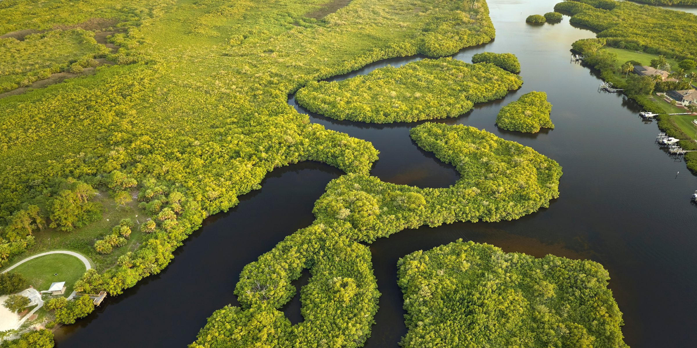 Everglades, Floride, États-Unis ©Shutterstock