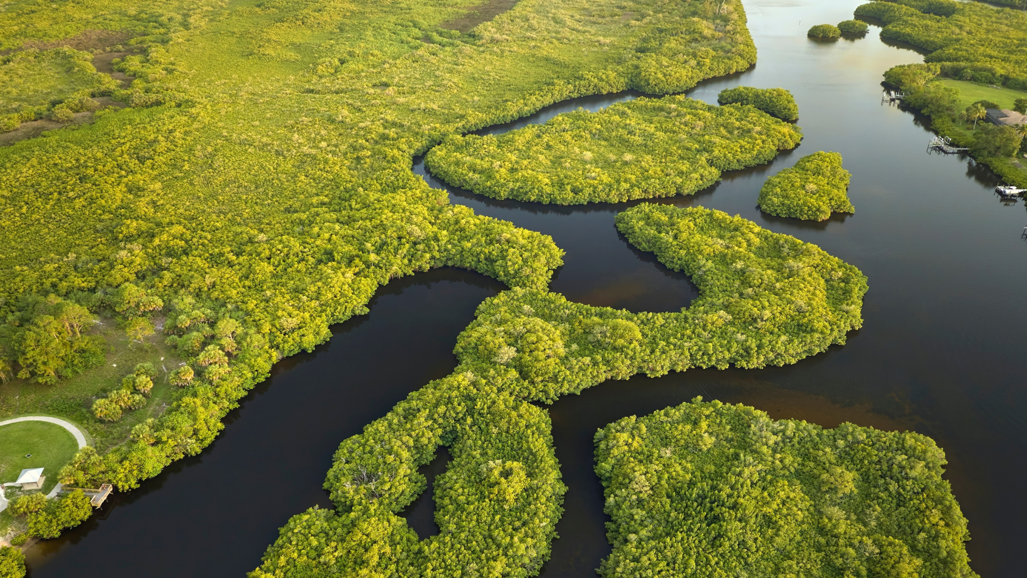Everglades, Floride, États-Unis ©Shutterstock