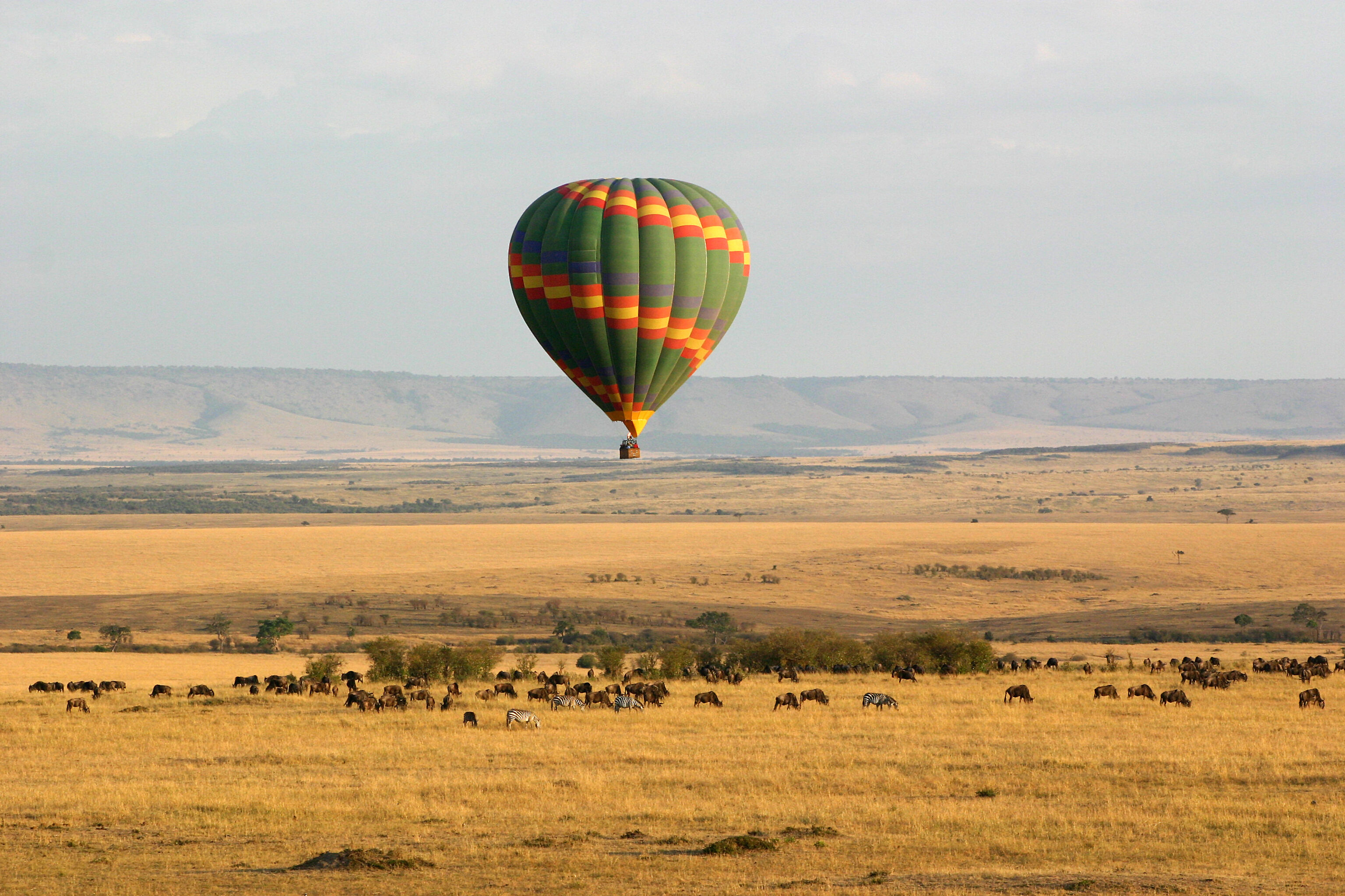 Survol en montgolfière de la réserve du Masaï Mara (Jour 3) 