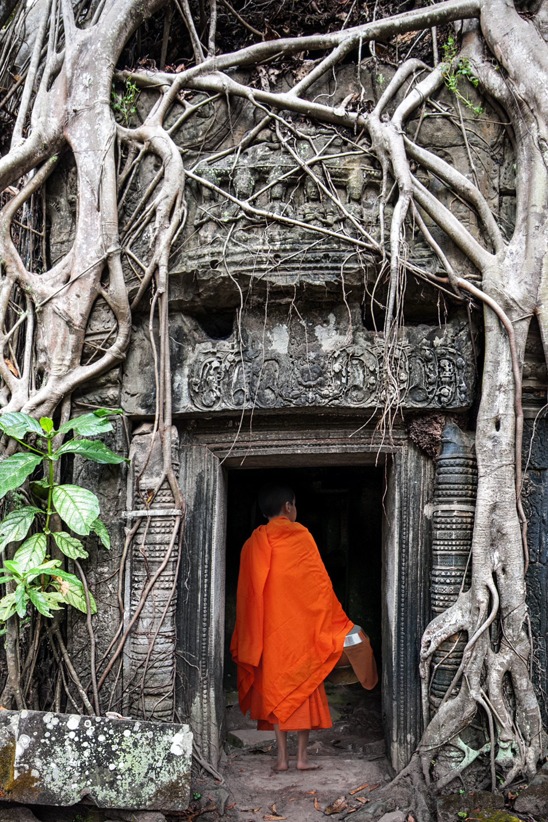 Cambodia, mon amour