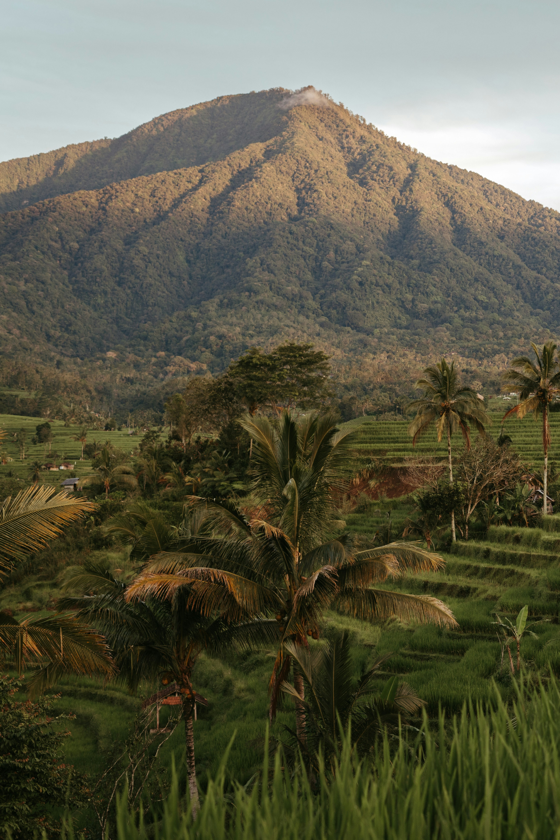 Nouvel an festif et dépaysant à Ubud