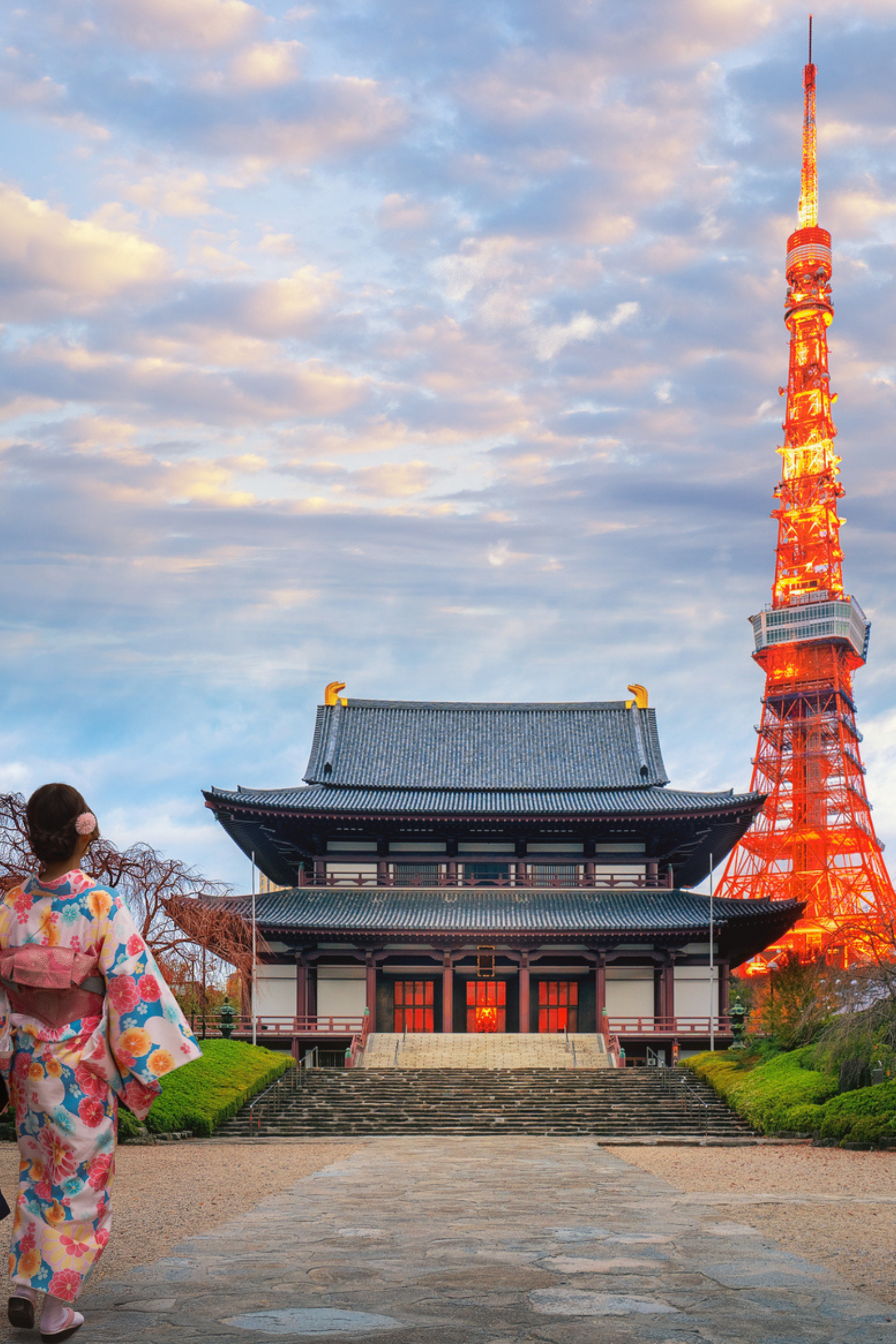 Japon moderne et pittoresque