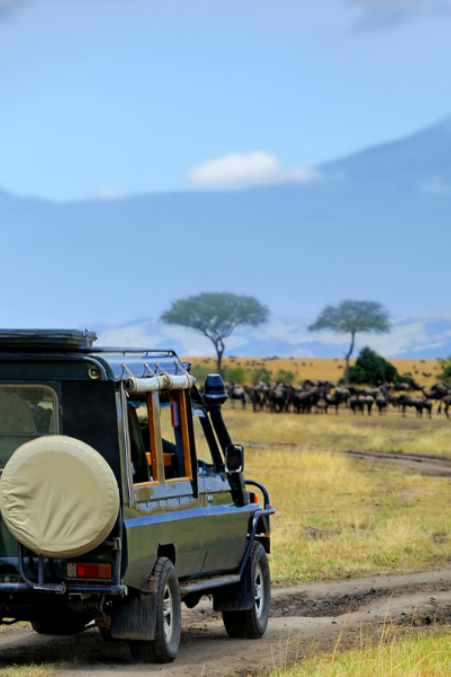 Kenya, en piste !
