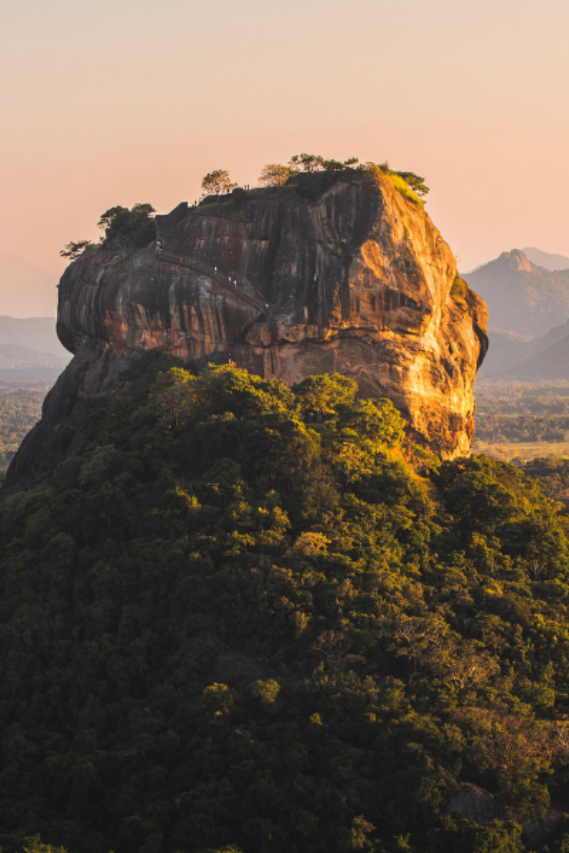 Expérience Sri Lanka 