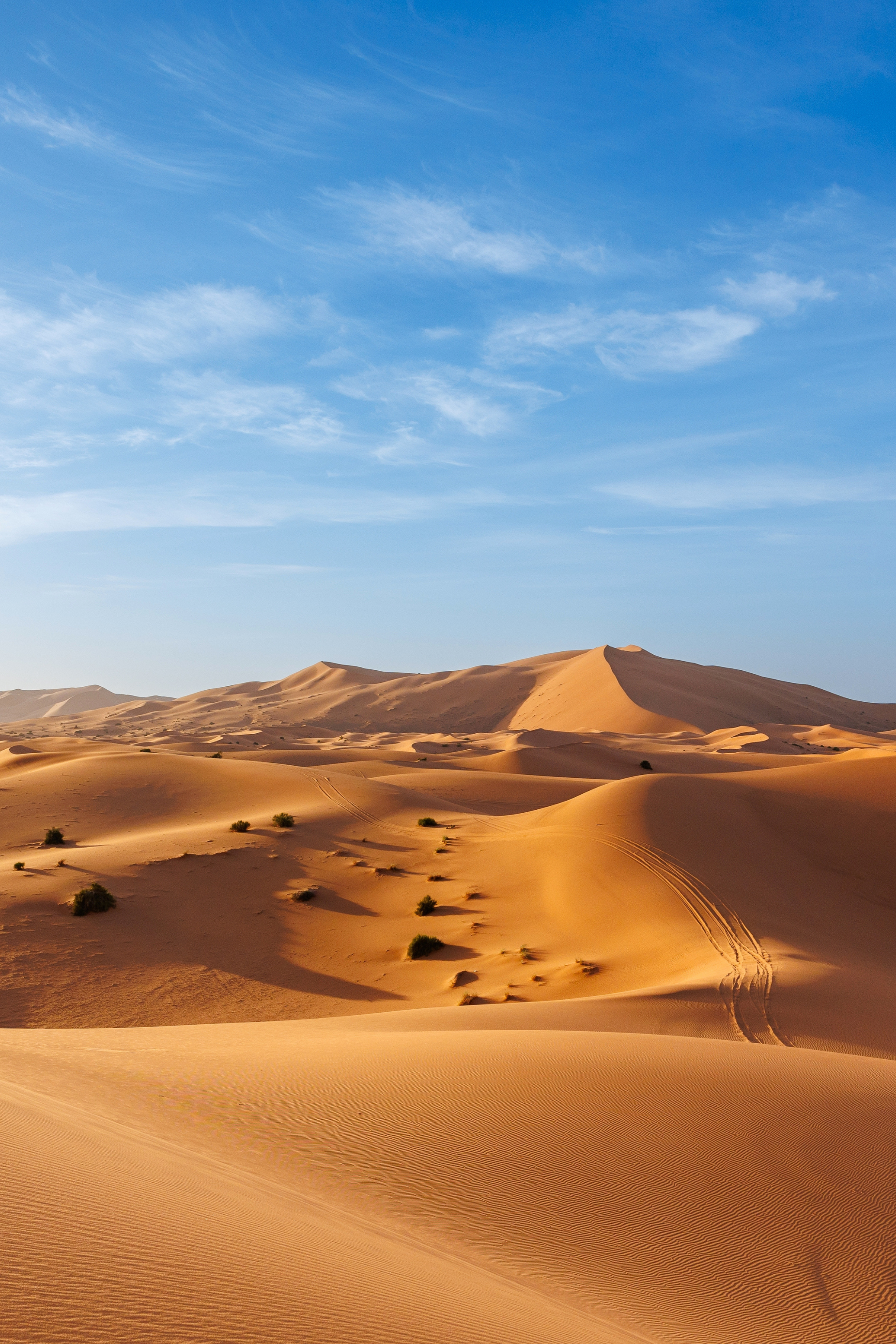 Sur les routes d’un Maroc authentique, du nord au sud