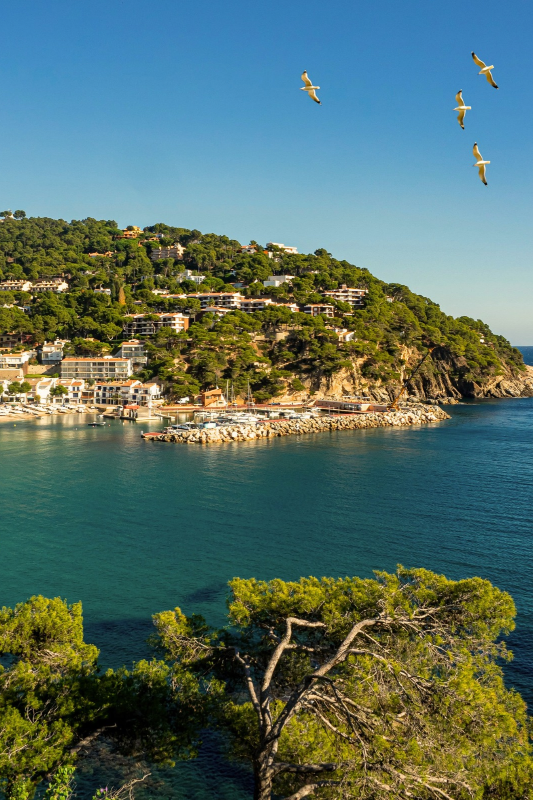 Costa Brava, la douceur de vivre