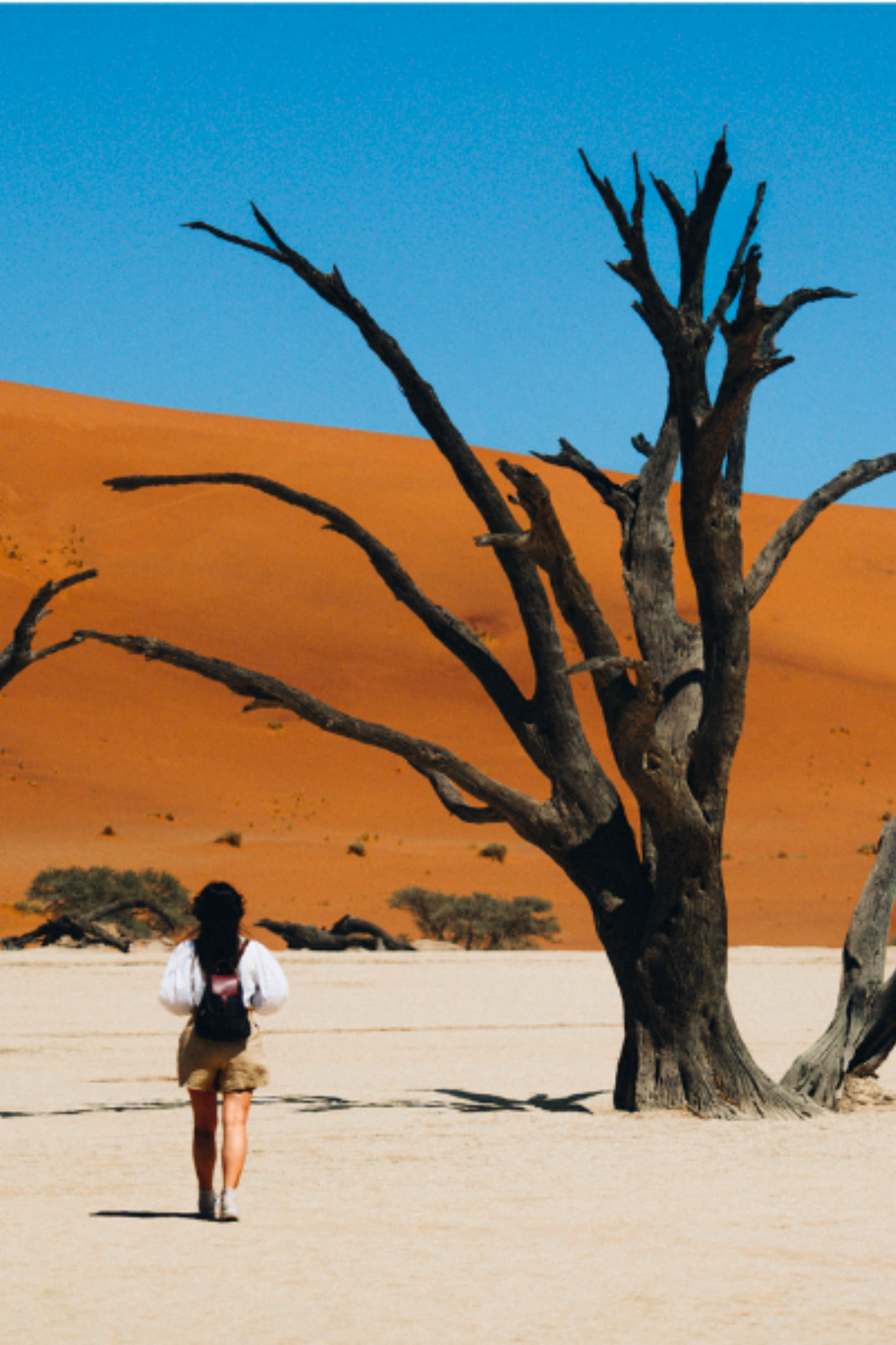 Les baroudeuses en Namibie