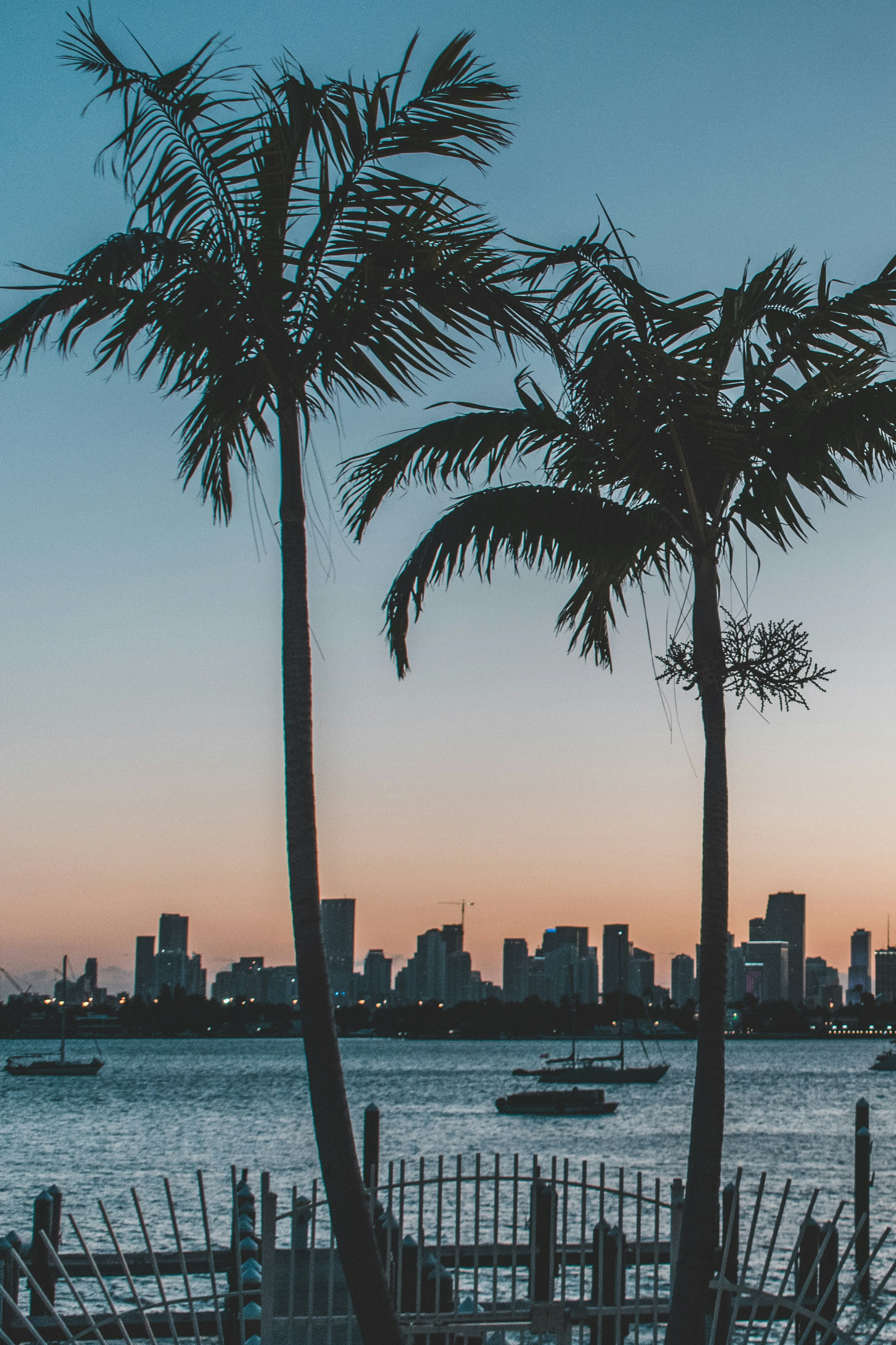 Miami, le meilleur de la Floride