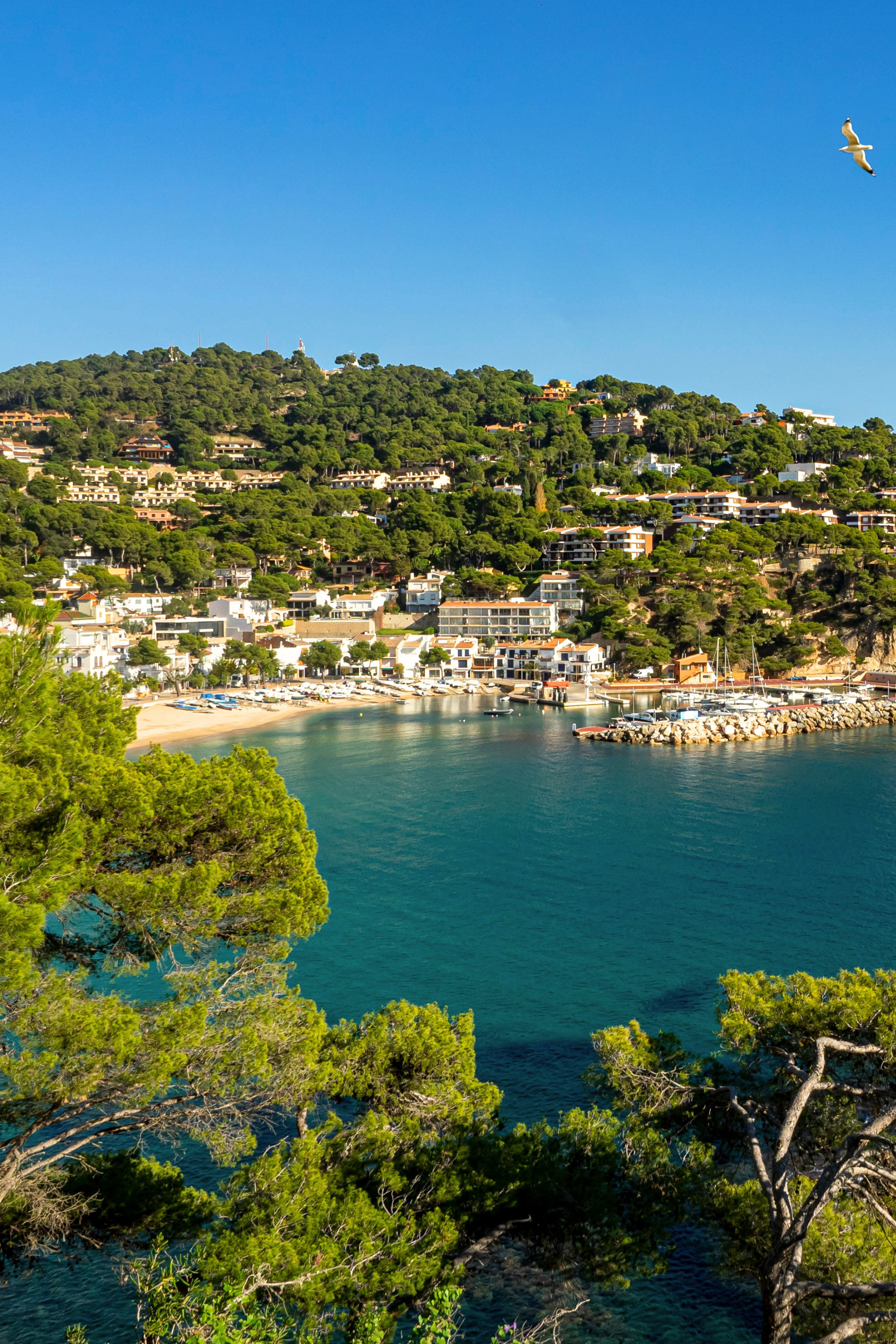 Costa Brava, la douceur de vivre