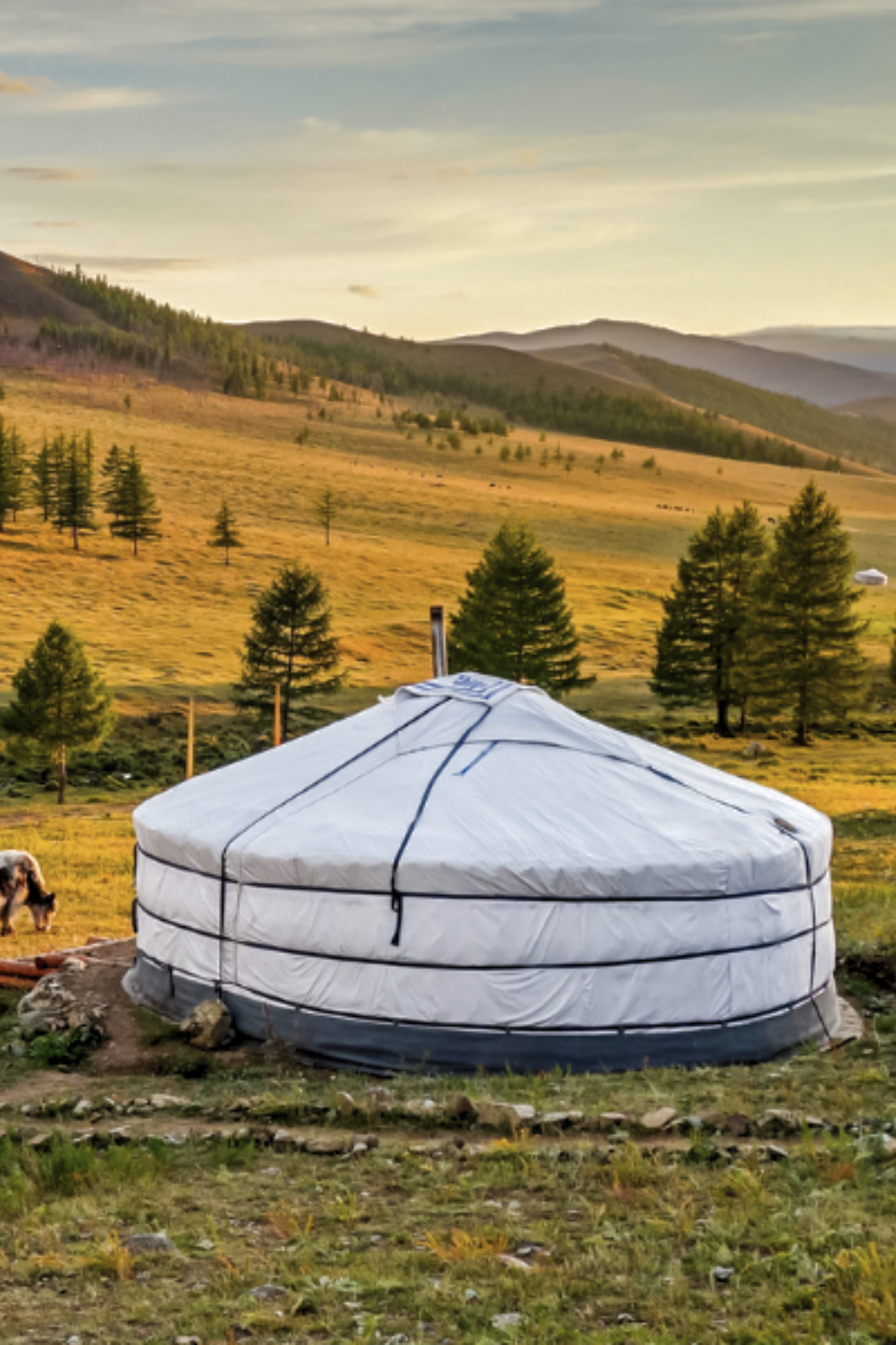 Circuit au coeur de la Mongolie nomade des steppes 