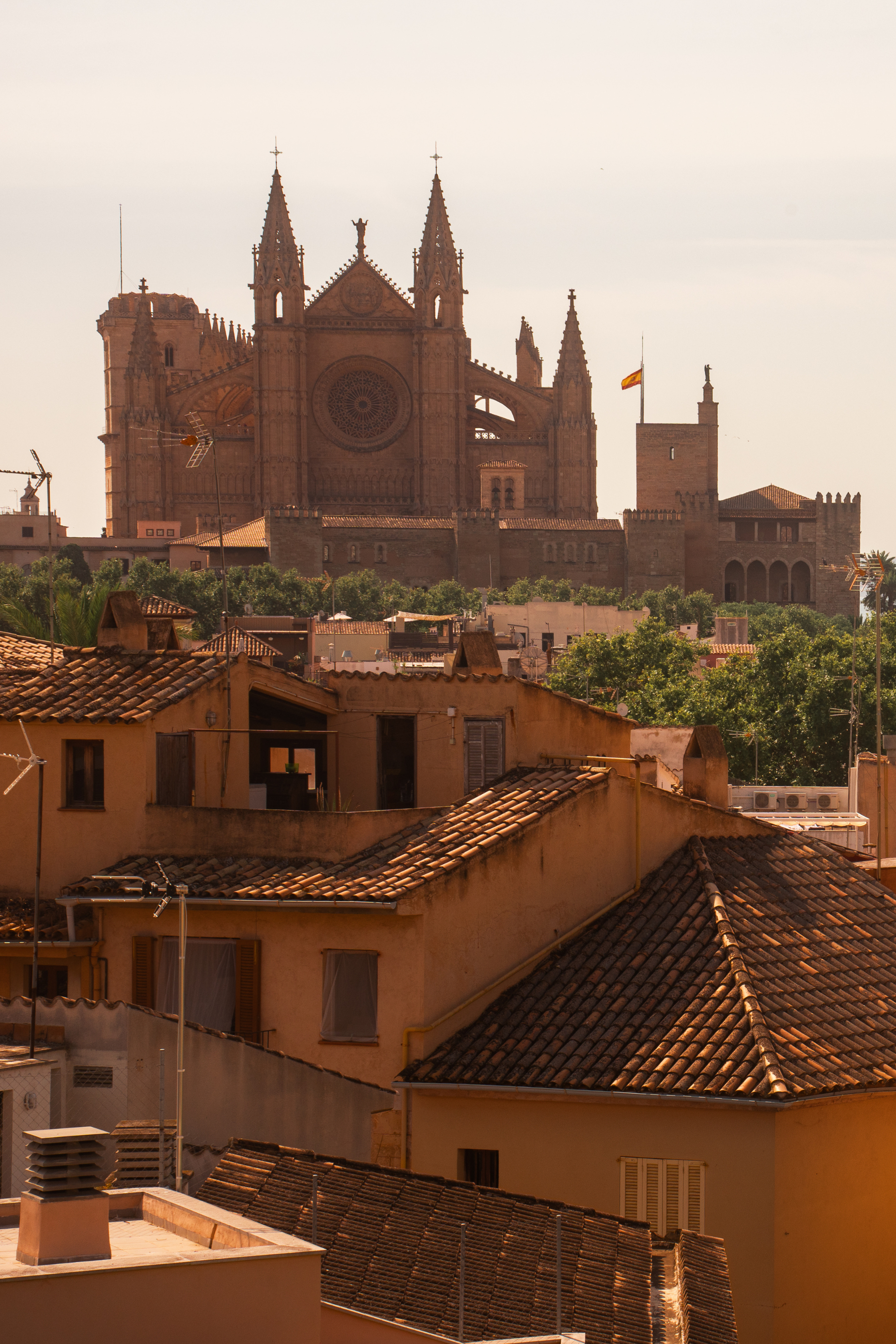 Palma, capitale solaire des Baléares