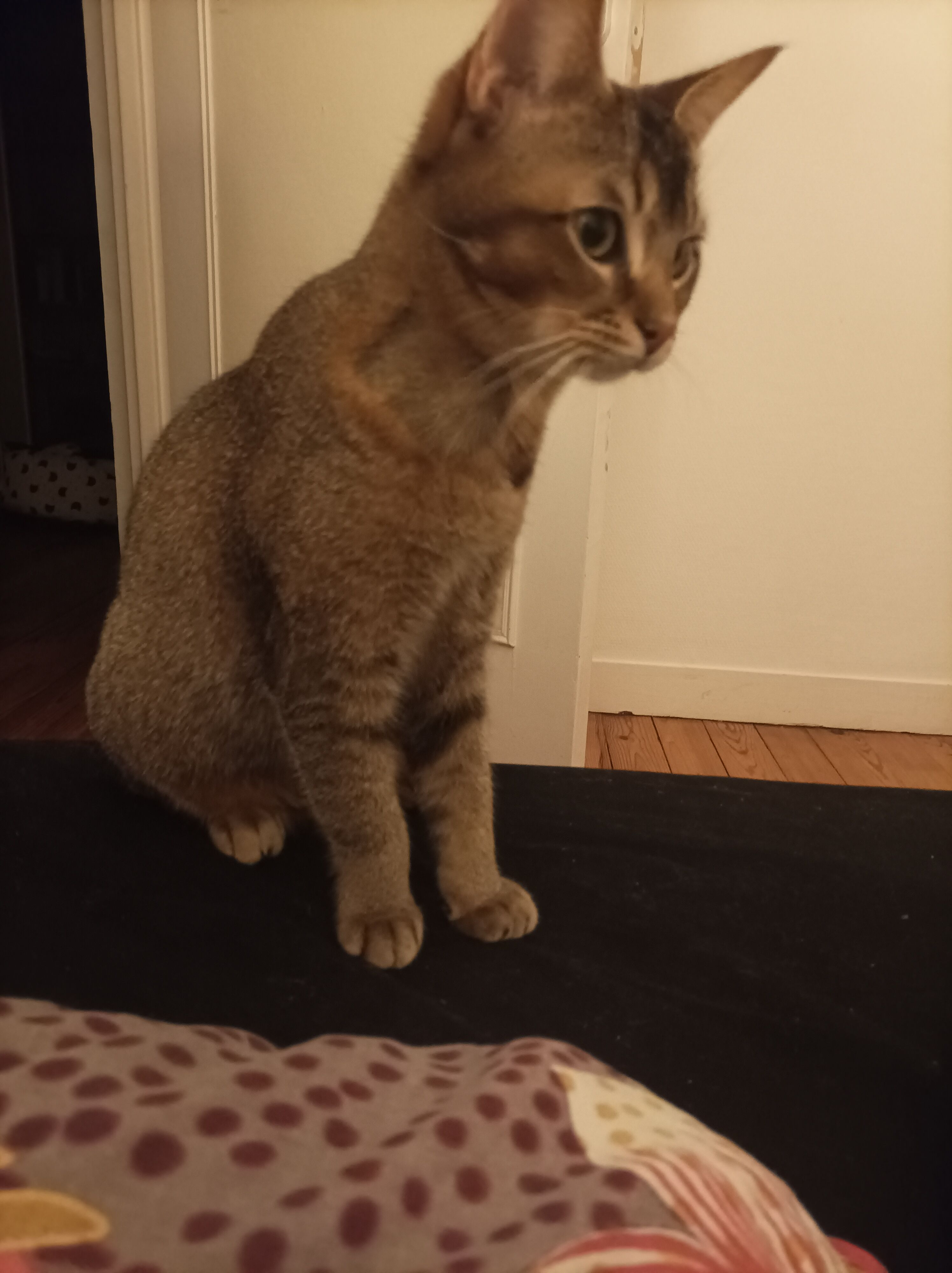 Lucie